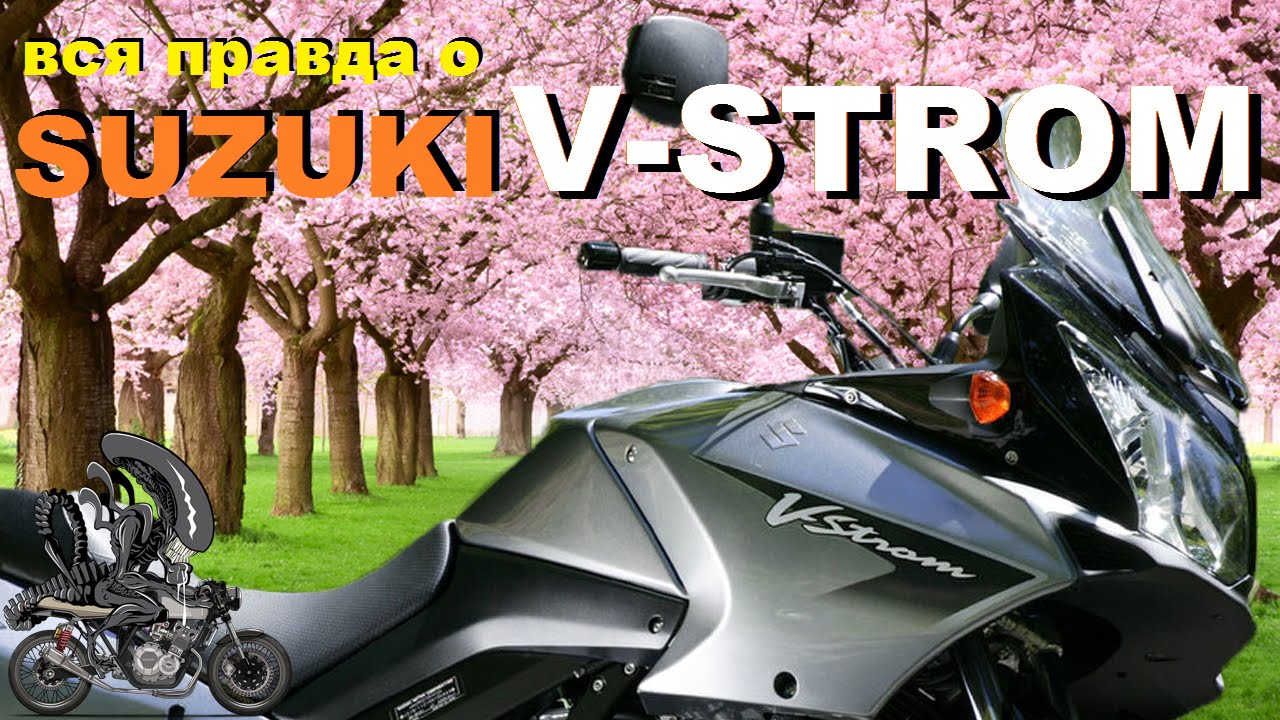 Обзор мотоцикла Suzuki V-Strom 650 DL 650