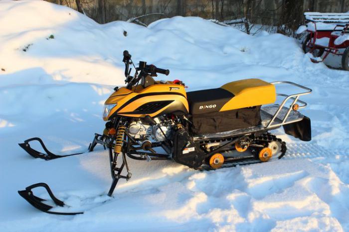 Снегоход Dingo T125 — Обзор характеристики и цены