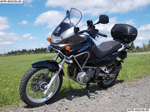 Отзыв мотоцикла Suzuki XF 650 Freewind